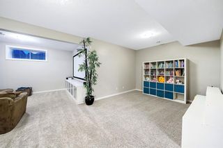 Photo 38: 23 Marquis Green SE in Calgary: Mahogany Detached for sale : MLS®# A2052556