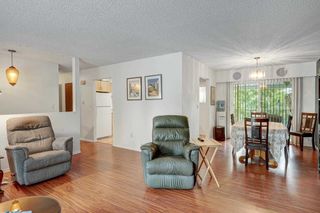 Photo 17: 1435 LAURIER Avenue in Port Coquitlam: Lincoln Park PQ House for sale : MLS®# R2780811