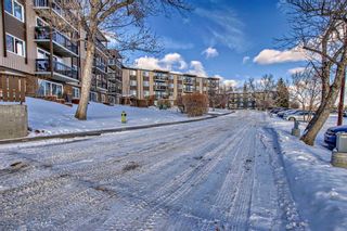Photo 3: 513 8948 Elbow Drive SW in Calgary: Haysboro Apartment for sale : MLS®# A2106950