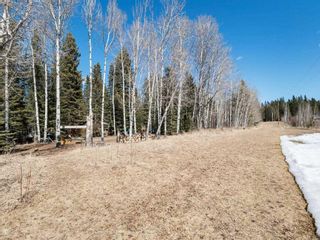 Photo 31: 5227 Twp Rd 320 # 50: Rural Mountain View County Recreational for sale : MLS®# A2115736
