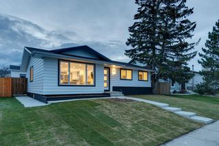 Photo 42: 438 Queensland Place SE in Calgary: Queensland Detached for sale : MLS®# A2043106