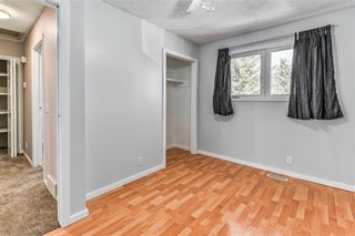 Photo 15: 373 WHITLOCK Way NE in Calgary: Whitehorn Detached for sale : MLS®# C4233795