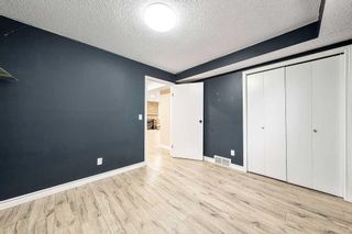 Photo 31: 157 Riverglen Drive SE in Calgary: Riverbend Detached for sale : MLS®# A2078152