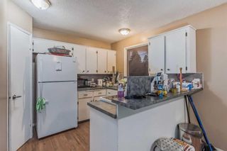 Photo 23: 6313 & 6315 Tregillus Street NW in Calgary: Huntington Hills Full Duplex for sale : MLS®# A2094411