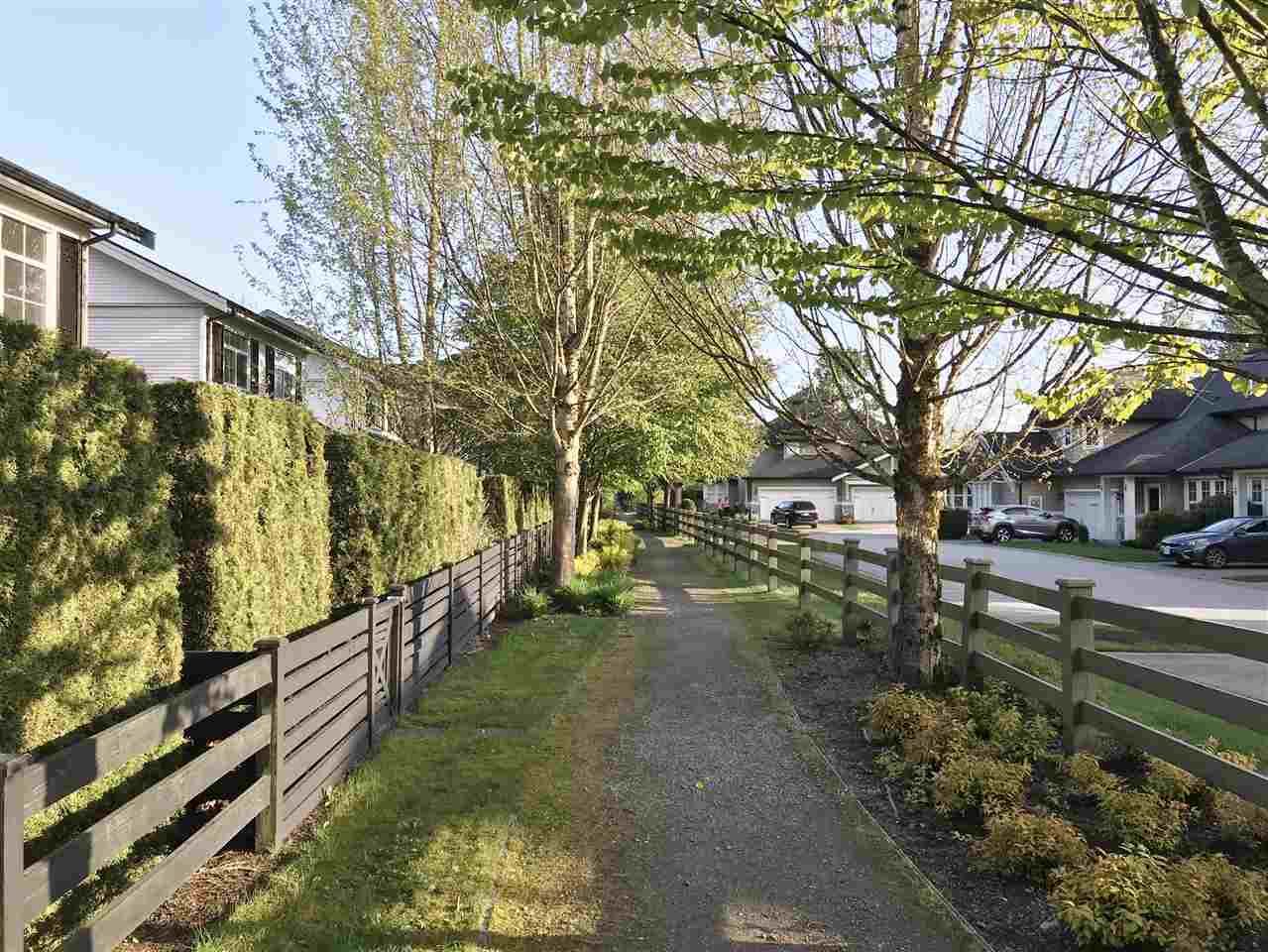 Photo 20: Photos: 18 19490 FRASER Way in Pitt Meadows: South Meadows Townhouse for sale in "Kingfisher at Osprey" : MLS®# R2444045