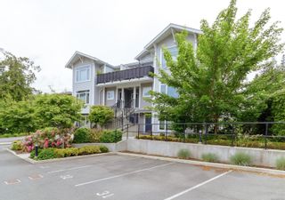Photo 21: 303 591 Latoria Rd in Colwood: Co Olympic View Condo for sale : MLS®# 907335