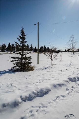 Photo 31: 75 SUMMERWOOD Road SE: Airdrie House for sale : MLS®# C4174518