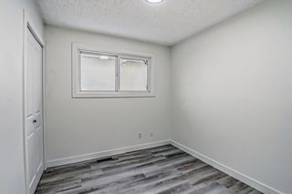 Photo 21: 6417 Penbrooke Drive SE in Calgary: Penbrooke Meadows Semi Detached (Half Duplex) for sale : MLS®# A2014861