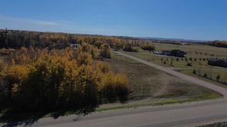 Photo 4: 1 15015 Township Road 424 Township: Rural Ponoka County Residential Land for sale : MLS®# A2088768