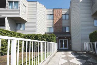 Photo 4: 107 615 NORTH Road in Coquitlam: Coquitlam West Condo for sale in "NORFOLK MANOR" : MLS®# R2152631