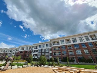 Photo 1: D421 8150 207 Street in Langley: Willoughby Heights Condo for sale in "Union Park" : MLS®# R2652092