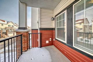 Photo 9: 226 20 Royal Oak Plaza NW in Calgary: Royal Oak Apartment for sale : MLS®# A2117494