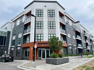 Main Photo: 319 383 Smith Street NW in Calgary: University District Apartment for sale : MLS®# A2067079