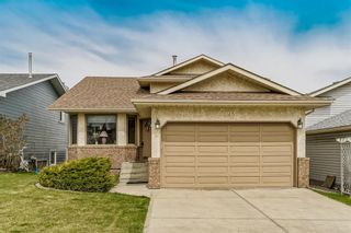 Photo 35: 193 Shawfield Road SW in Calgary: Shawnessy Detached for sale : MLS®# A1216232