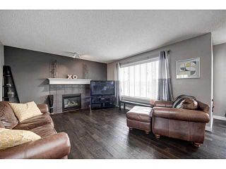 Photo 23: 173 West Creek Pond W: Chestermere House for sale : MLS®# C3651094
