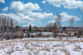 Photo 35: 192098 242 Avenue W: Rural Foothills County Detached for sale : MLS®# A1174992