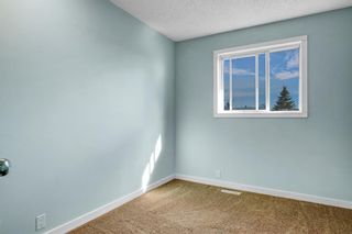 Photo 17: 11 Martinwood Mews NE in Calgary: Martindale Detached for sale : MLS®# A1255241