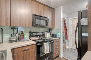 Photo 14: 3105 80 Glamis Drive SW in Calgary: Glamorgan Apartment for sale : MLS®# A2050117