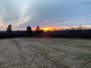Photo 3: 11.6 acres East Tracadie Road in East Tracadie: 302-Antigonish County Vacant Land for sale (Highland Region)  : MLS®# 202209014