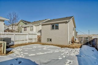 Photo 42: 112 Covington Road NE in Calgary: Coventry Hills Detached for sale : MLS®# A2034418
