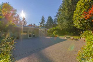 Photo 16: 3841 BAYRIDGE Avenue in West Vancouver: Bayridge House for sale : MLS®# R2232684