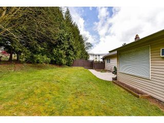 Photo 19: 33214 GEORGE FERGUSON Way in Abbotsford: Central Abbotsford House for sale : MLS®# F1437634