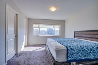 Photo 30: 64 Seton Terrace SE in Calgary: Seton Detached for sale : MLS®# A2004109