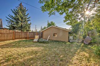 Photo 30: 275 Doverview Crescent SE in Calgary: Dover Detached for sale : MLS®# A2055060
