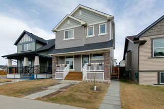 Main Photo: 84 Skyview Ranch Boulevard NE in Calgary: Skyview Ranch Detached for sale : MLS®# A2053881