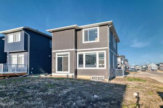 Photo 47: 31 Creekside Grove SW in Calgary: C-168 Detached for sale : MLS®# A2128701