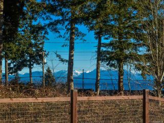 Photo 19: 3900 S Island Hwy in CAMPBELL RIVER: CR Campbell River South House for sale (Campbell River)  : MLS®# 749532