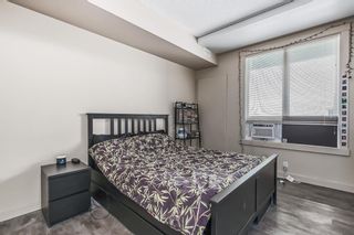 Photo 11: 1604 8710 Horton Road SW in Calgary: Haysboro Apartment for sale : MLS®# A2033379