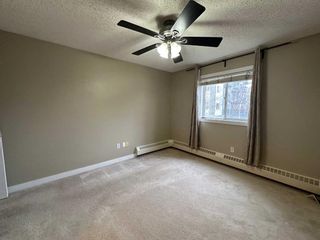 Photo 8: 205 21 Dover Point SE in Calgary: Dover Apartment for sale : MLS®# A2129149