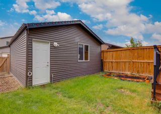 Photo 38: 181 Howse Avenue NE in Calgary: Livingston Detached for sale : MLS®# A2059943