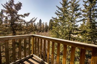 Photo 25: 5227 Township Road 320 #167 Wood Frog Way: Rural Mountain View County Detached for sale : MLS®# A2045464