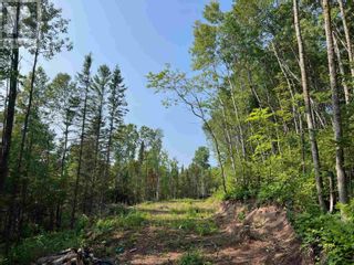 Photo 2: 131 Second Line RD in Sault Ste. Marie: Vacant Land for sale : MLS®# SM232556
