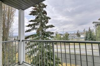 Photo 39: 314 33 Arbour Grove Close NW in Calgary: Arbour Lake Apartment for sale : MLS®# A2046645