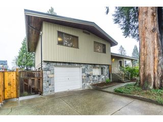 Photo 3: 21691 MOUNTAINVIEW Crescent in Maple Ridge: West Central House for sale : MLS®# R2525083