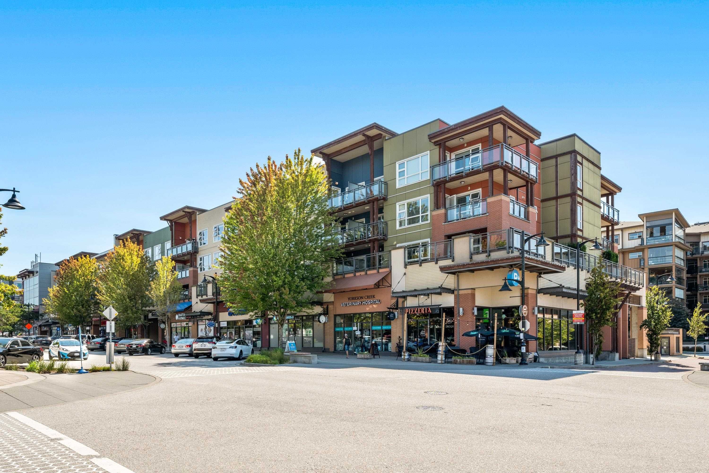 410 20728  WILLOUGHBY TOWN CENTRE Drive, Langley