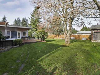Photo 20: 19911 38 Avenue in Langley: Brookswood Langley House for sale : MLS®# R2418146