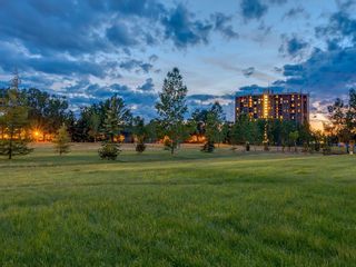 Photo 41: 1004 4944 DALTON Drive NW in Calgary: Dalhousie Apartment for sale : MLS®# C4305010