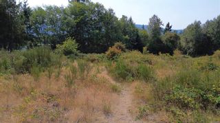 Photo 16: 2019 Bowen Rd in Nanaimo: Na Central Nanaimo Unimproved Land for sale : MLS®# 941917