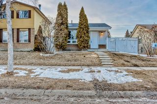 Photo 41: 107 Erin Woods Drive SE in Calgary: Erin Woods Detached for sale : MLS®# A2034907