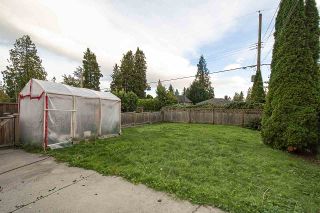 Photo 14: 915 E 14TH Street in North Vancouver: Boulevard House for sale : MLS®# R2511076