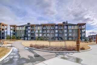 Photo 35: 408 150 Auburn Meadows Manor SE in Calgary: Auburn Bay Apartment for sale : MLS®# A1178978