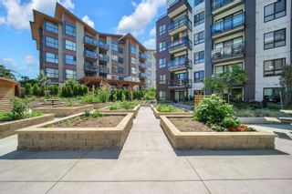 Photo 27: A310 20838 78B Avenue in Langley: Willoughby Heights Condo for sale in "Hudson & Singer" : MLS®# R2735826