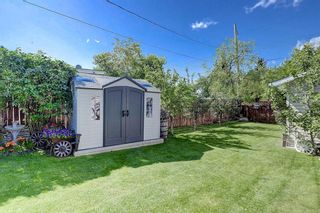 Photo 27: 1456 LAKE MICHIGAN CR SE in Calgary: Bonavista Downs House for sale : MLS®# C4260817