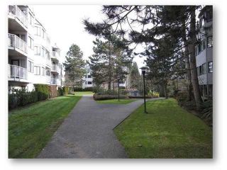 Photo 2: 103 9620 MANCHESTER Drive in Burnaby: Cariboo Condo for sale in "BROOKSIDE PARK" (Burnaby North)  : MLS®# V1036806