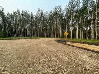 Photo 8: lot 2 Range Road 84 Township Road 722: Wembley Residential Land for sale : MLS®# A2105073