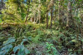Photo 56: 2465 Blackfish Rd in Sooke: Sk West Coast Rd House for sale : MLS®# 915383